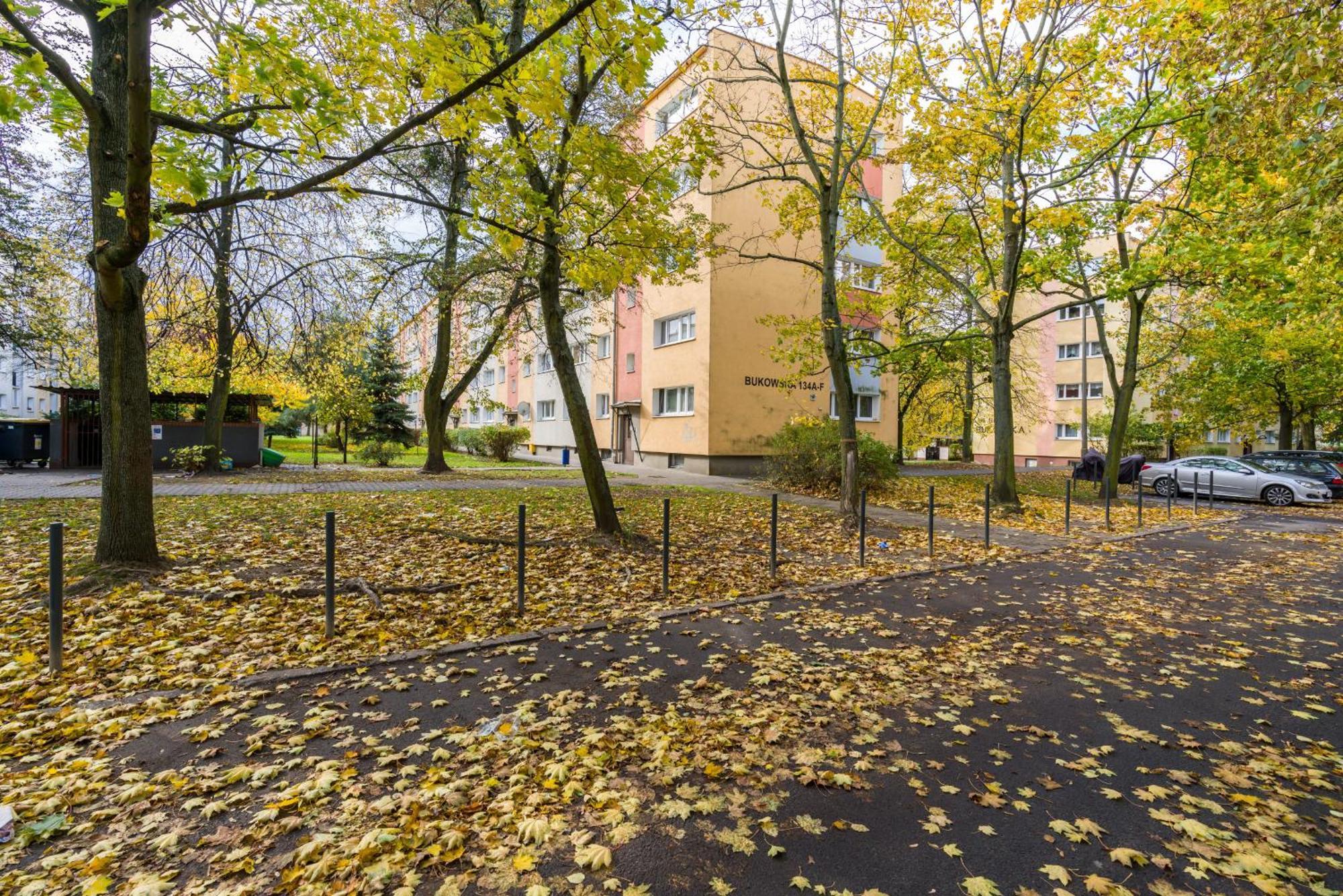 Bukowska W Poznaniu By Renters Poznan